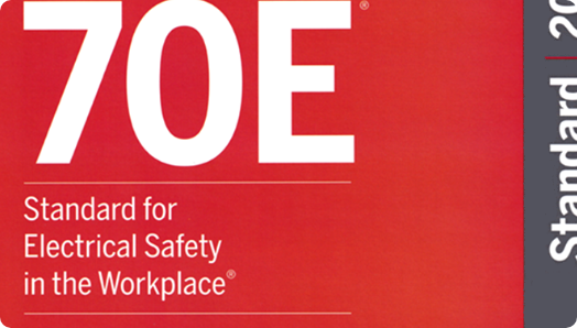 picture of electrical safety manual